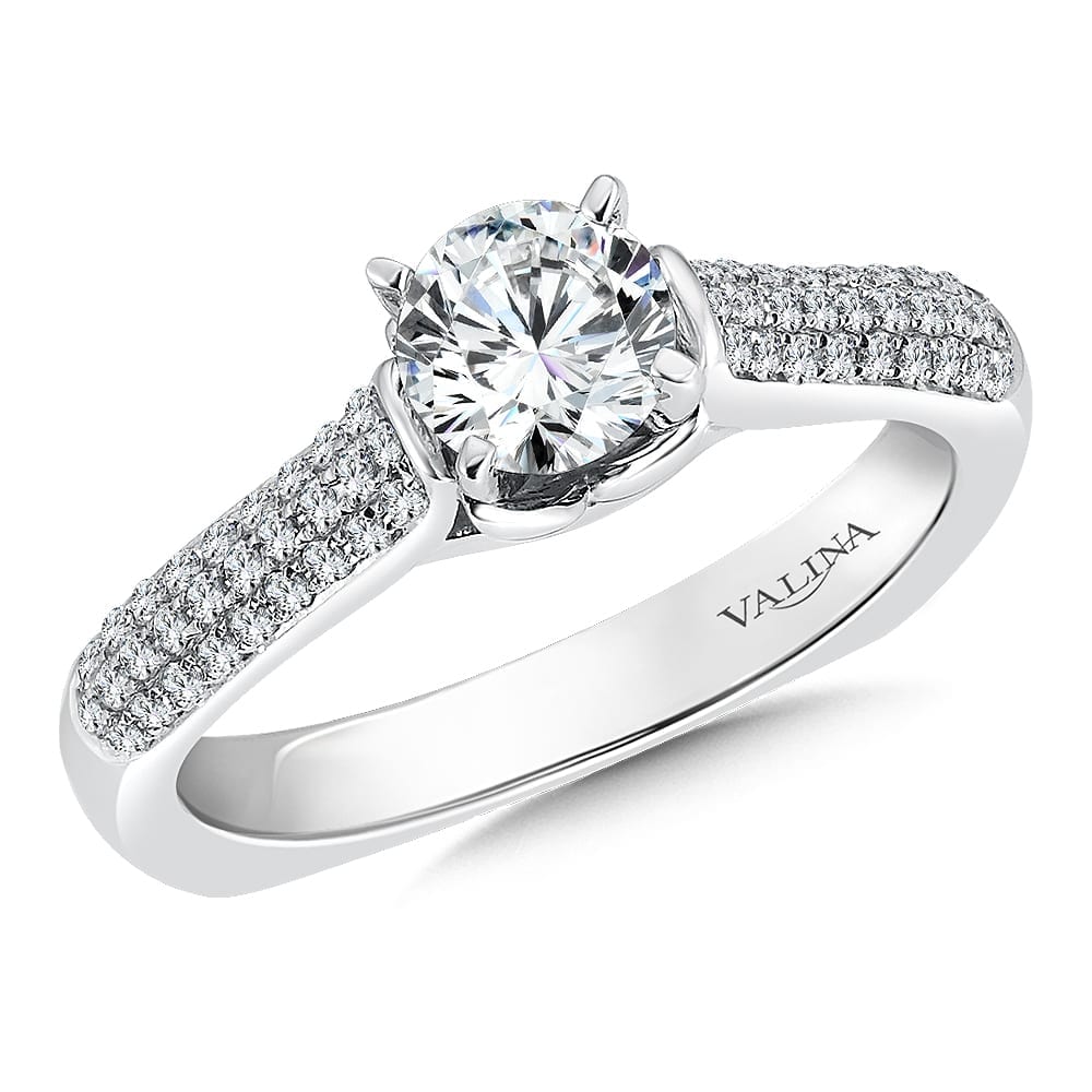 Engagement Ring with Side Stones