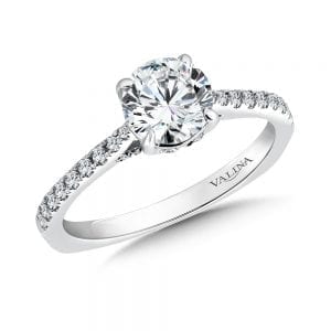 Engagement Ring With Side Stones