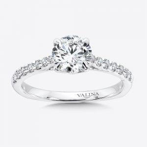 Solitaire Engagement Ring with Side Stones