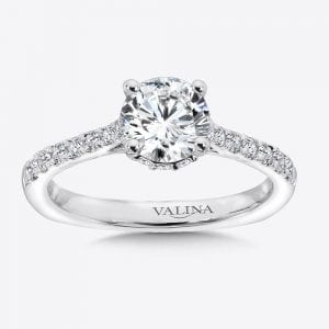Engagement Ring With Side Stones