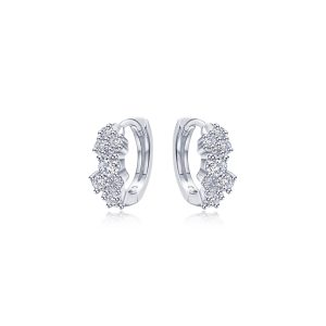 Huggie Earrings with Shiny Clusters